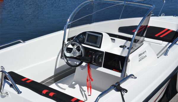 Micore 480 sc