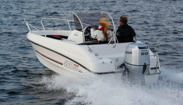 Micore 480 sc