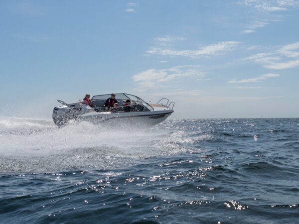 SILVER TIGER DCz - Bild 11