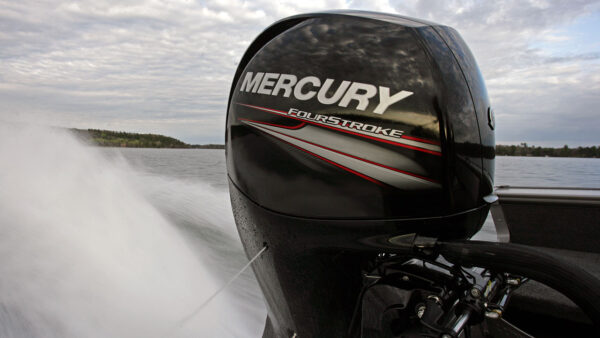 Mercury F150 EFI - Bild 2