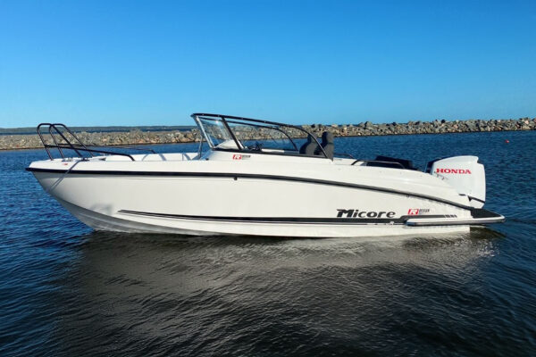 MICORE 65 br