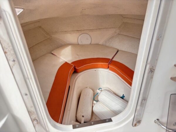Örnvik 470 Cruiser/Mercury F50(-07) - Bild 6